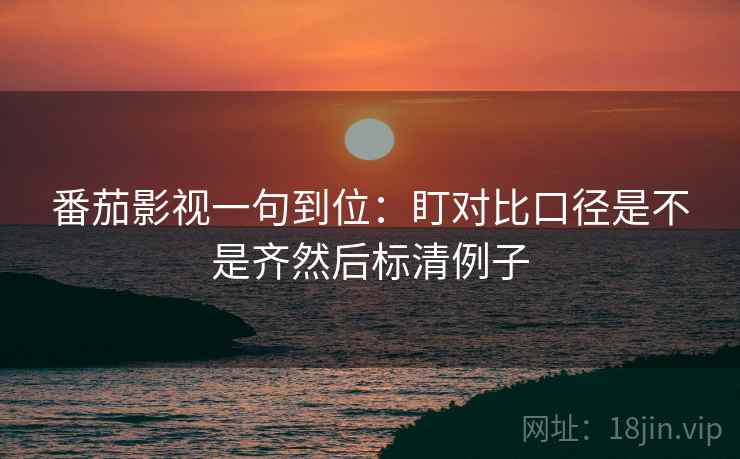 番茄影视一句到位：盯对比口径是不是齐然后标清例子