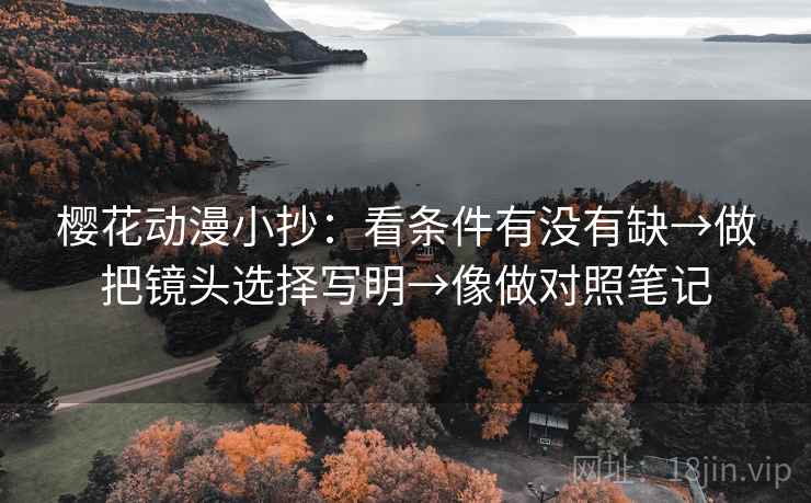 樱花动漫小抄：看条件有没有缺→做把镜头选择写明→像做对照笔记